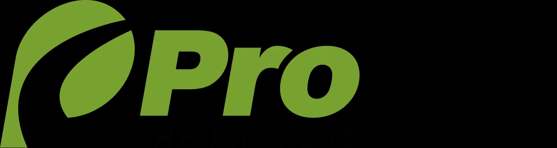 ProVia Logo